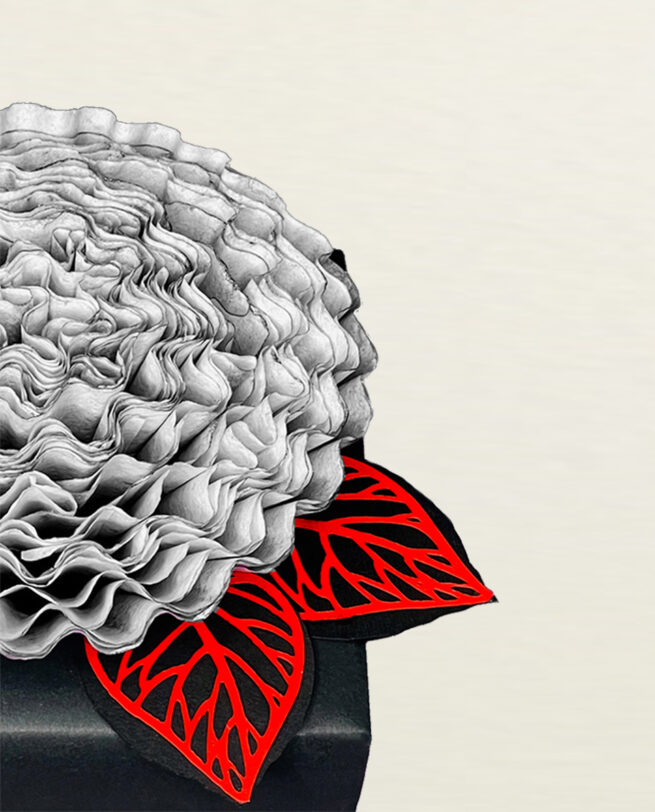 Sleek Departure Magazine-inspired gift wraps.